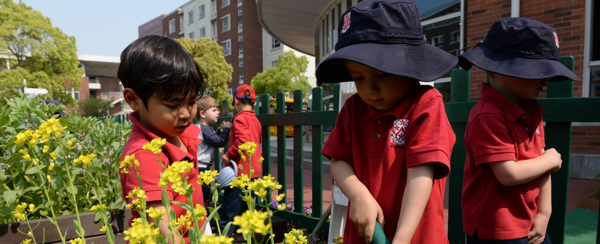 Sustainability & Global Citizenship